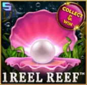 1Reelreef En1 на Vbet